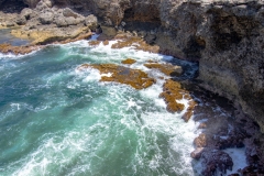 Animal-Flower-Cave-25