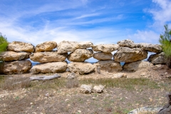 Animal-Flower-Cave-26