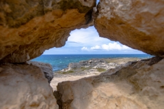 Animal-Flower-Cave-27