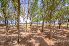 Animal-Flower-Cave-29