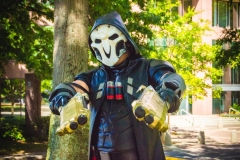 AWA 2017 Batch 3-3078