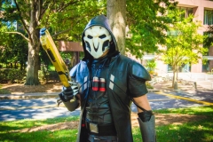 AWA 2017 Batch 3-3082