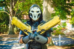 AWA 2017 Batch 3-3083