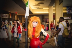 AWA 2017 Batch 3-3089